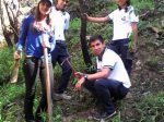 reforestación Apula del parque Chorros de Milla (2)
