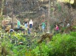 reforestación Apula del parque Chorros de Milla (6)