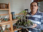Alirio Araque-Ceramista (9)