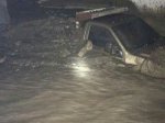 Carro Tapiado2