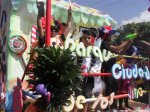 Desfile Ferisol 2016 (4)