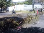 Plantón Mérida 01-06-2017 (11)