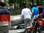 Arbol caido en avda urdaneta (28)