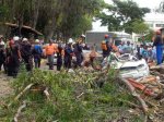 Arbol caido en avda urdaneta (3)