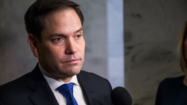 Senador Marco Rubio