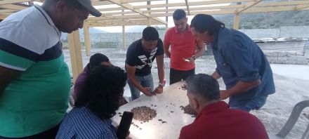 Producción de Cacao Jehsyon Guzmán