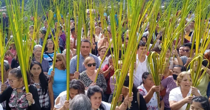 Domingo de Ramos - Zea