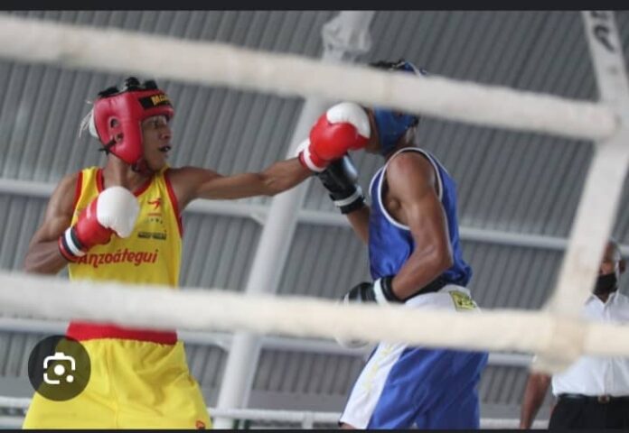 Boxeadores merideños