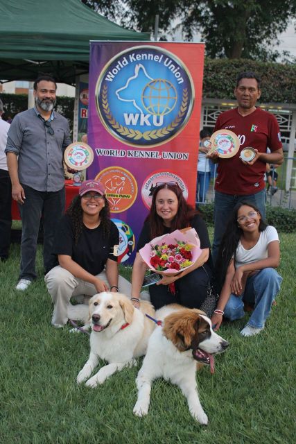 Perro Mucuchies en Lima